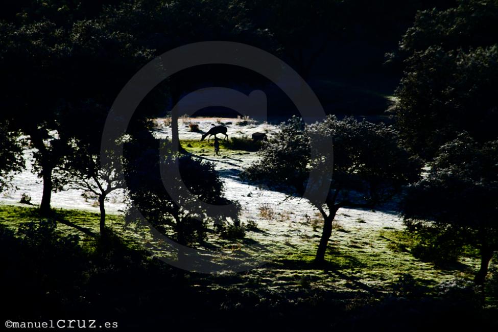 Imagen 17 de la galería de 